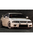 Skyline (R33) (93-98)