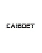 CA18DET