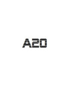 A20