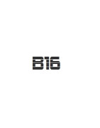 B16